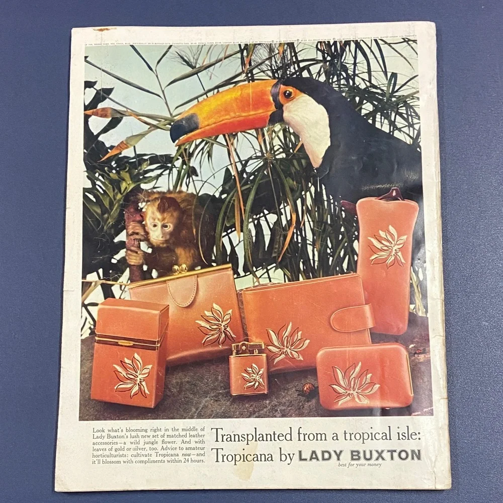 Seventeen Magazine
February 1960 - Picture 3 of 16
